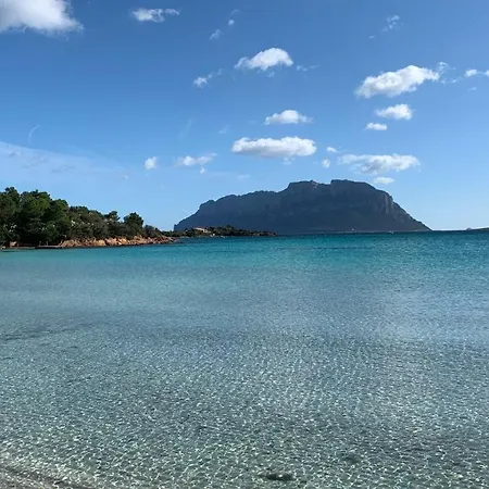 Rosa Dei Venti - Casa Maestrale - Sardegna - Iun R2217